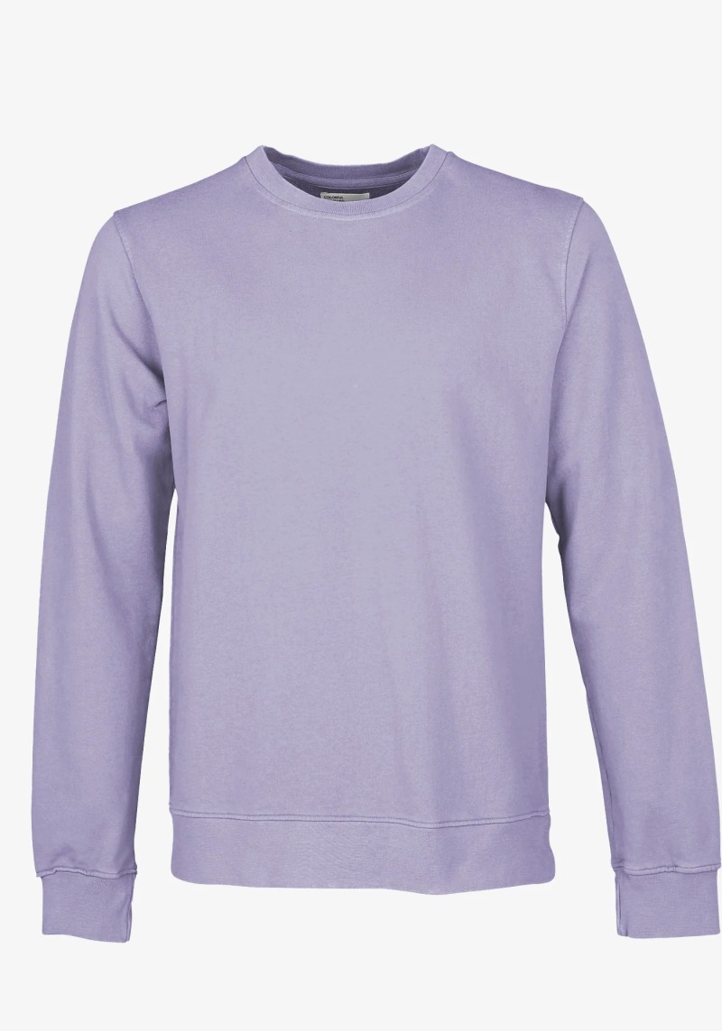 Herren-Sweatshirt Purple Jade