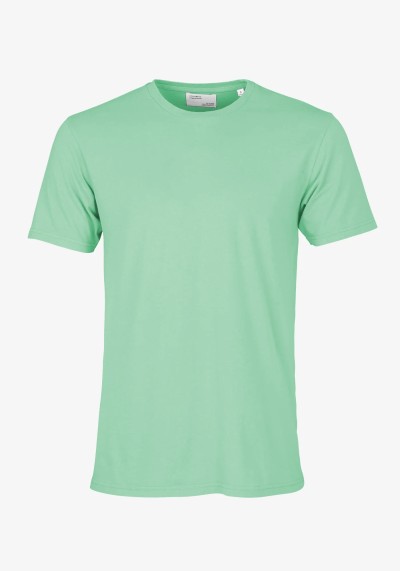 Herren-T-Shirt Seafoam Green