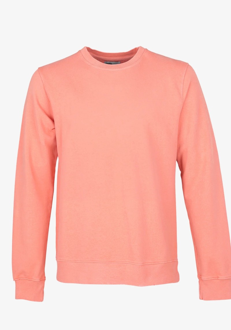 Herren-Sweatshirt Bright Coral