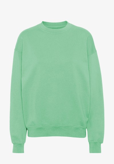 Oversized Sweatshirt Seafoam Green