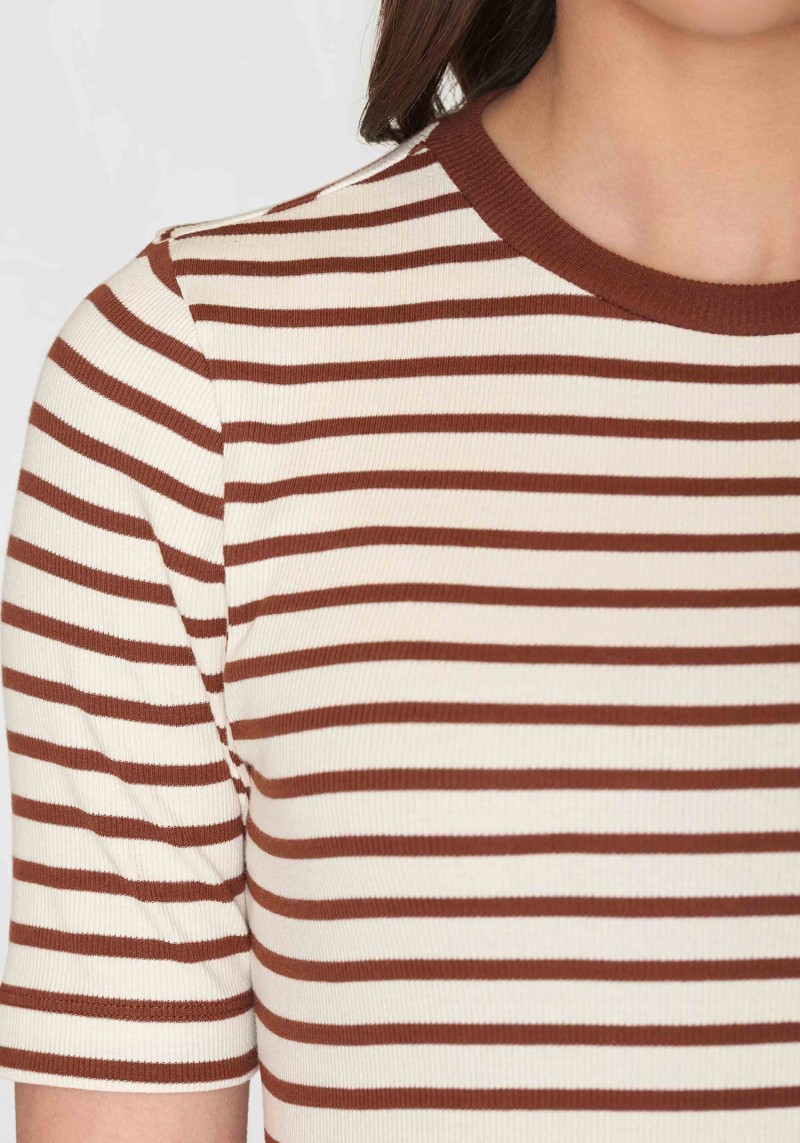 Rib T-Shirt Striped Brown Stripe