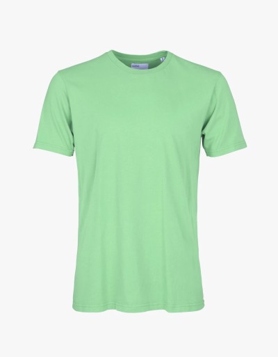 Herren-T-Shirt Colorful Standard faded mint