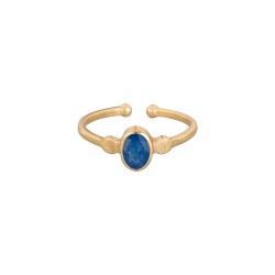 Ring Protsaah Small Oval Blue Quarz Multi Set gold (RN-S-012-AU-BQ)