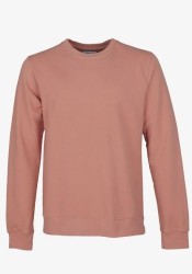 Sweatshirt Colorful Standard Rosewood Mist