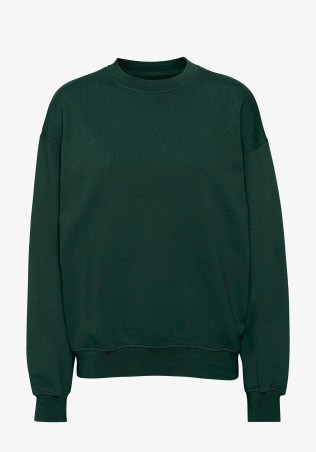 Oversized Sweatshirt Colorful Standard Hunter Green
